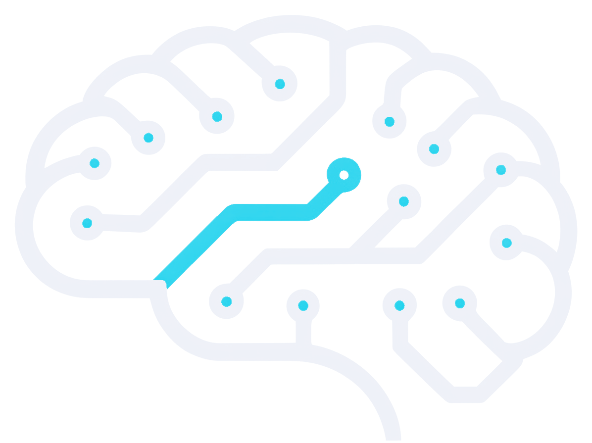 Protocortex